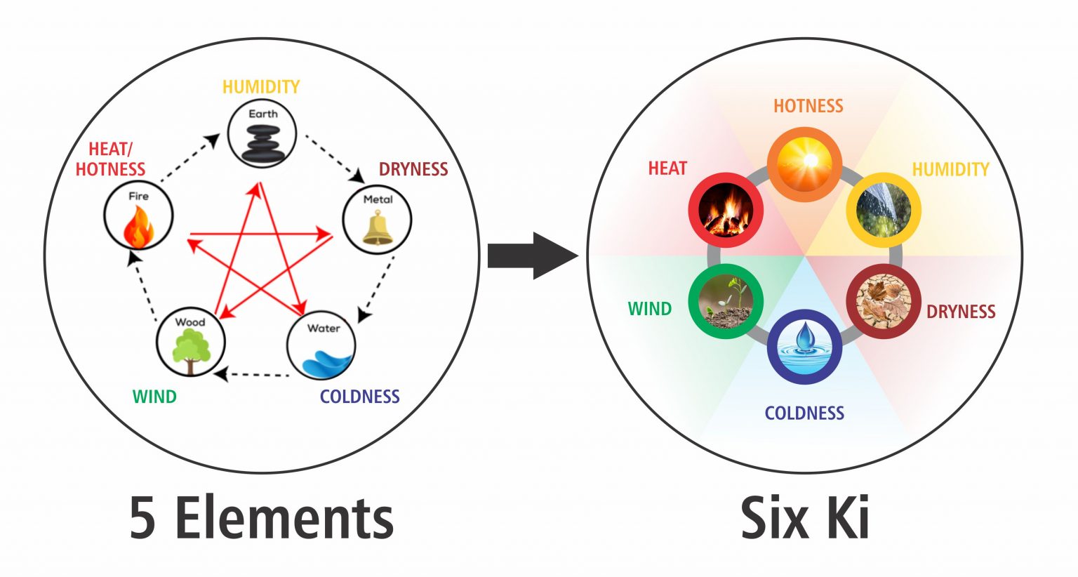 Six Ki Constitution Learn Sujok, Heal The World